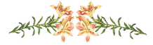 Pink Flowers Illustration