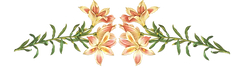 Pink Flowers Illustration