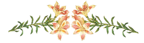 ピンクの花のイラスト
