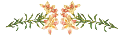 Pink Flowers Illustration