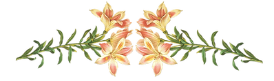 Pink Flowers Illustration