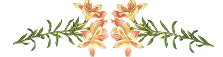 Pink Flowers Illustration 