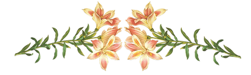 Pink Flowers Illustration