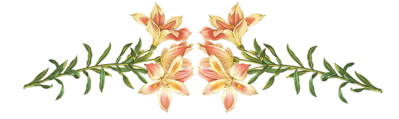Pink Flowers Illustration