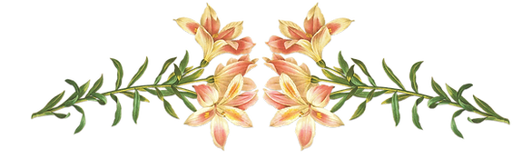 ピンクの花のイラスト