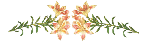 ピンクの花のイラスト