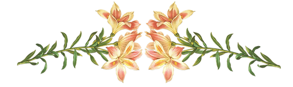 Pink Flowers Illustration 