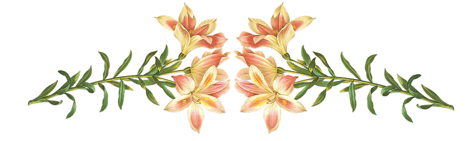 Illustration Fleurs roses 