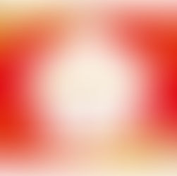 Holiday Sale 12/16-31