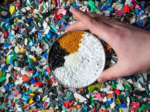 A hand holding a petri dish with polymer pellets. Surrounding the petri dish are pieces of shredded plastic containers.