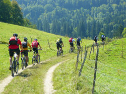 Picasa - P1040084.jpg