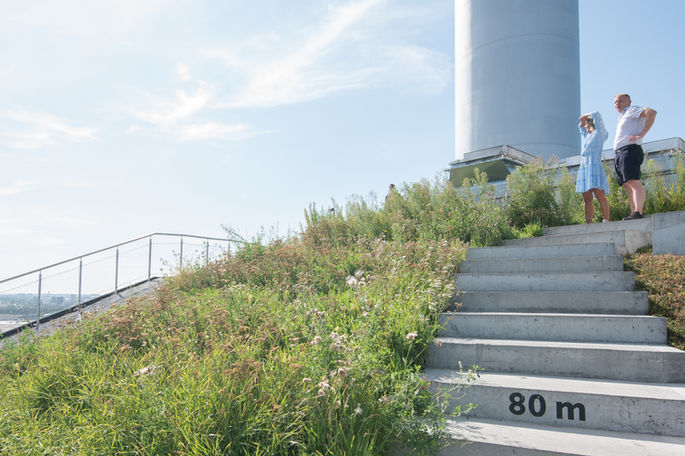 Rooftop garden, lush greenery beside concrete steps, CopenHill, Copenhagen, designed by Bjarke Ingels Group (BIG) – photo by Filippo Rossi.
