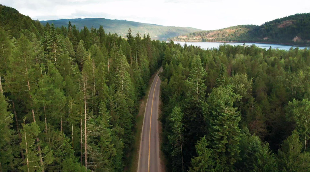 Timbertech Tree Care Service photo 1