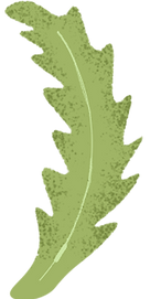 fun leaf for decoration