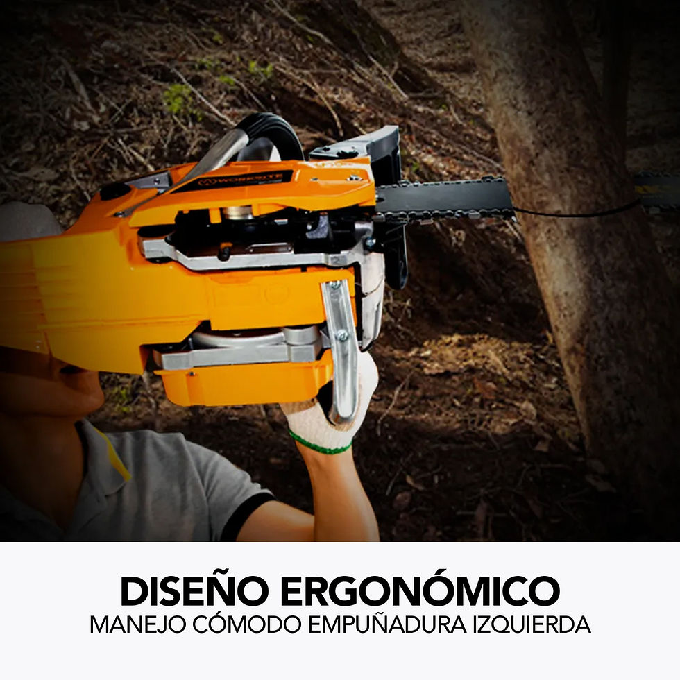 Miniatura: Motosierra de gasolina de alta resistencia para trabajo pesado