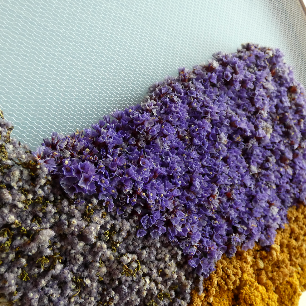Thumbnail: Close up showing dried flowers and a light sky blue background