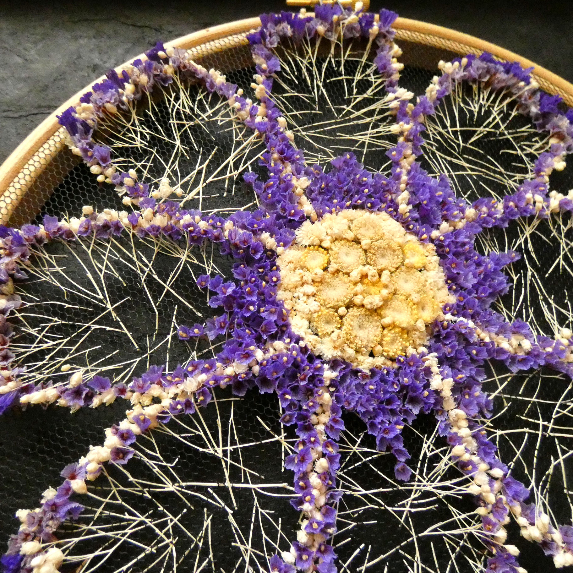 Cosmos created in dried flowers