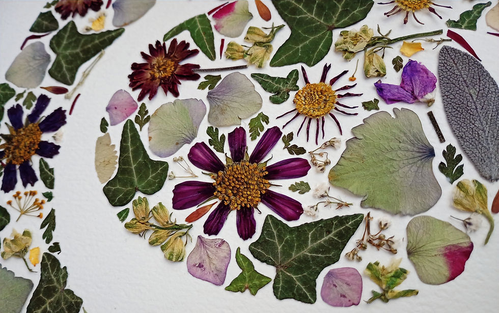 Thumbnail: A4 pressed flower letter