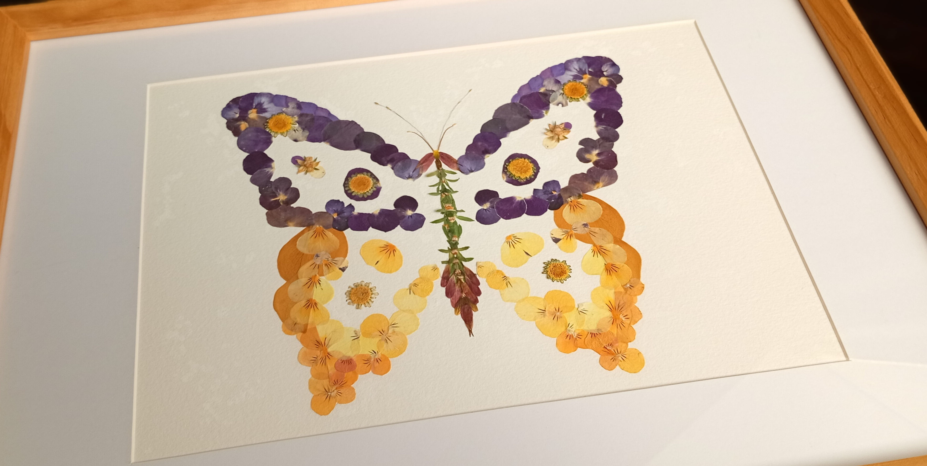 Bright Butterfly