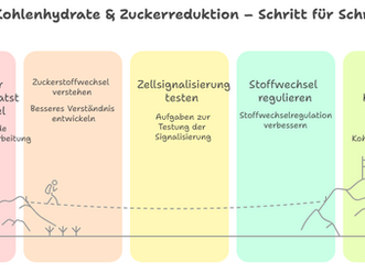 Fettabbau, Abnehmen, Körperfett reduzieren