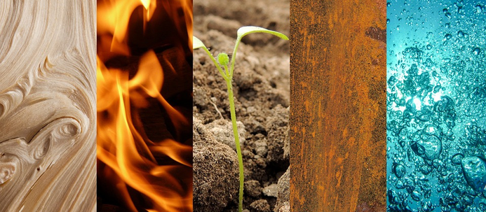 Energiestoffwechsel 3: Energiewandler in uns!