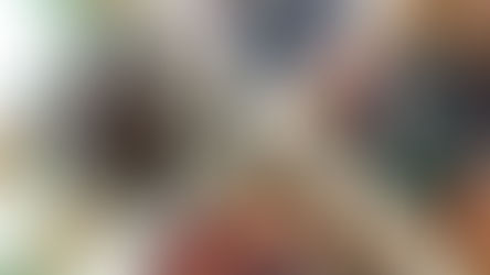 Group's Echo - July 2018