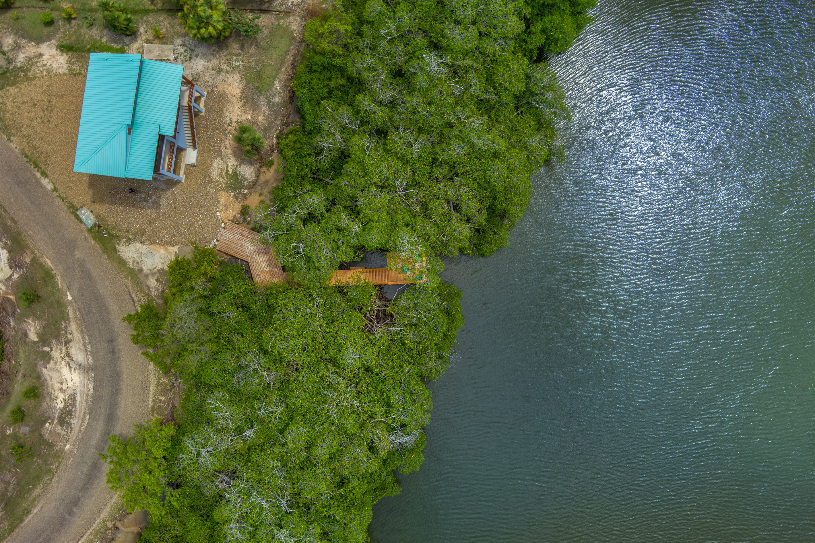 Mangrove Blu