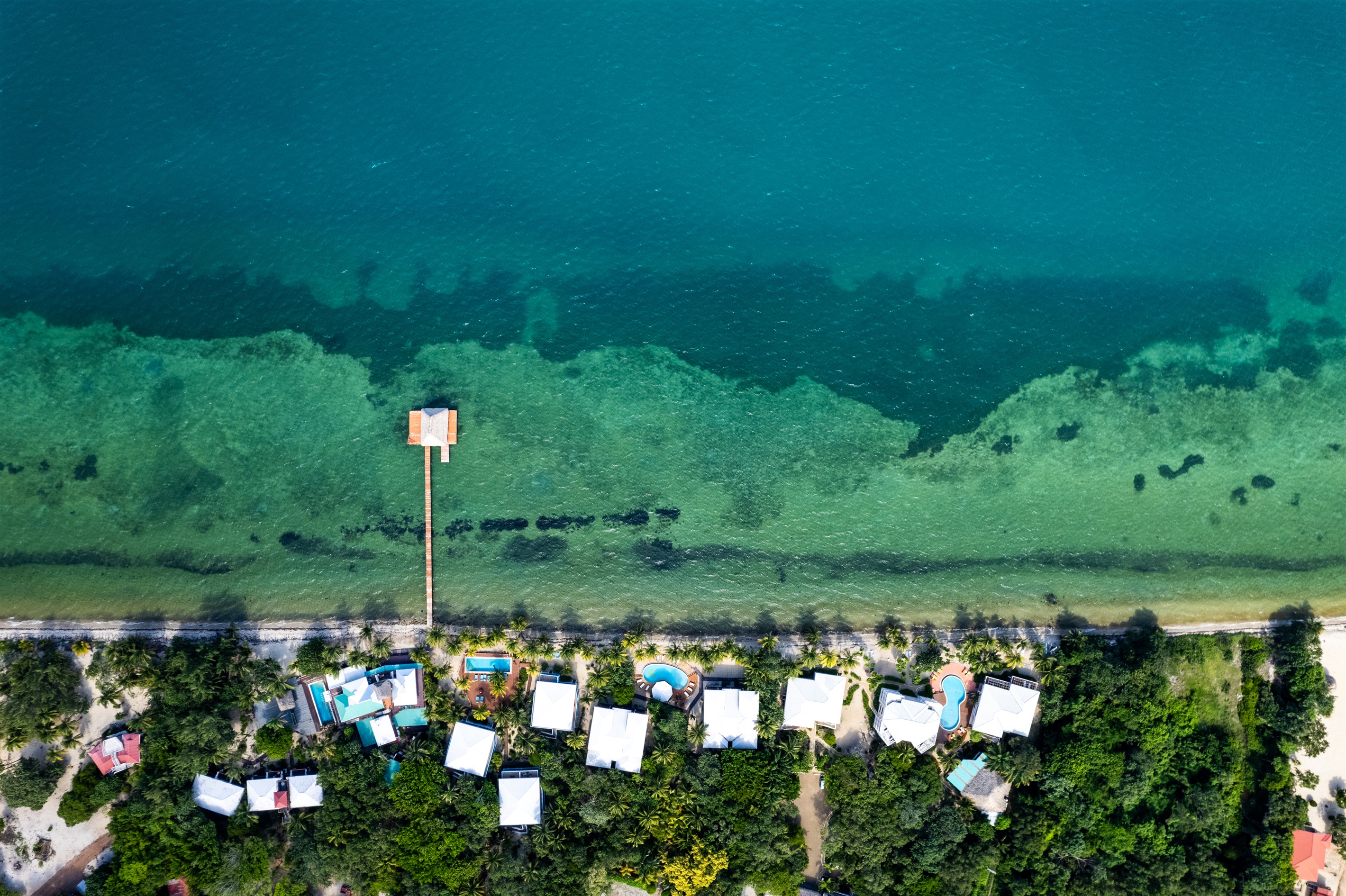 Tranquility Beach Suites Condo 34 - 1 Bedroom