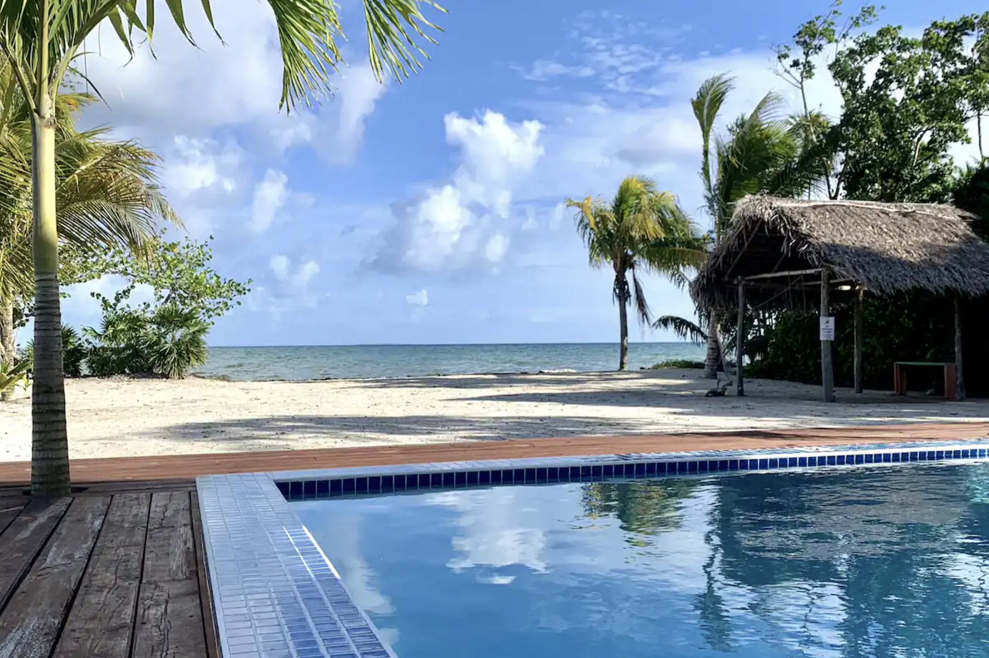 Breeze of Paradise