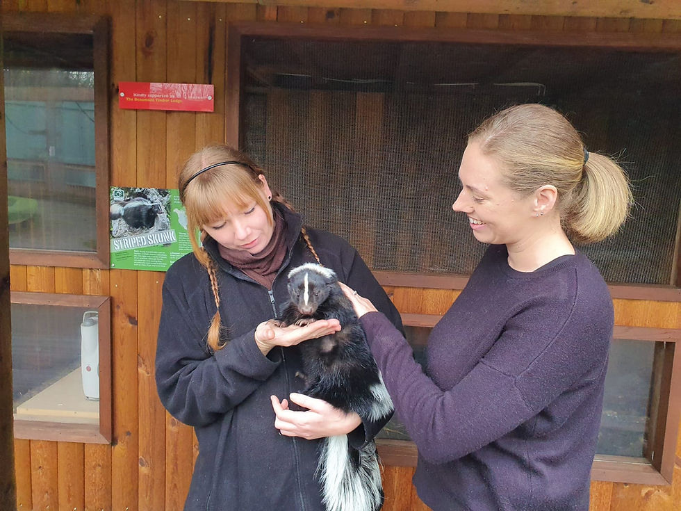 Thumbnail: VIP Tour For Two People