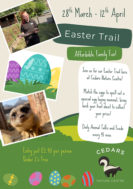 Copy of Copy of Copy of Copy of Copy of Copy of NEW Poster Template (1).png