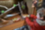 Thumbnail: Junior Keeper Experience for 1 Child