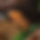 Thumbnail: VIP Tour For Four People