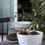 Thumbnail: Luzia Footed Bowl