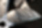 DSC00275.jpg