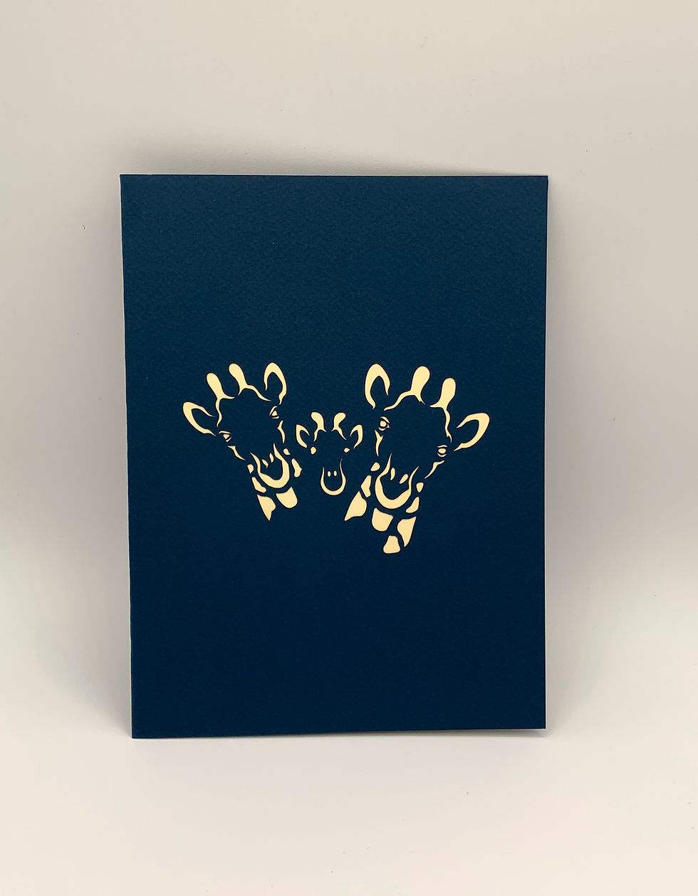 Thumbnail: Giraffe Family