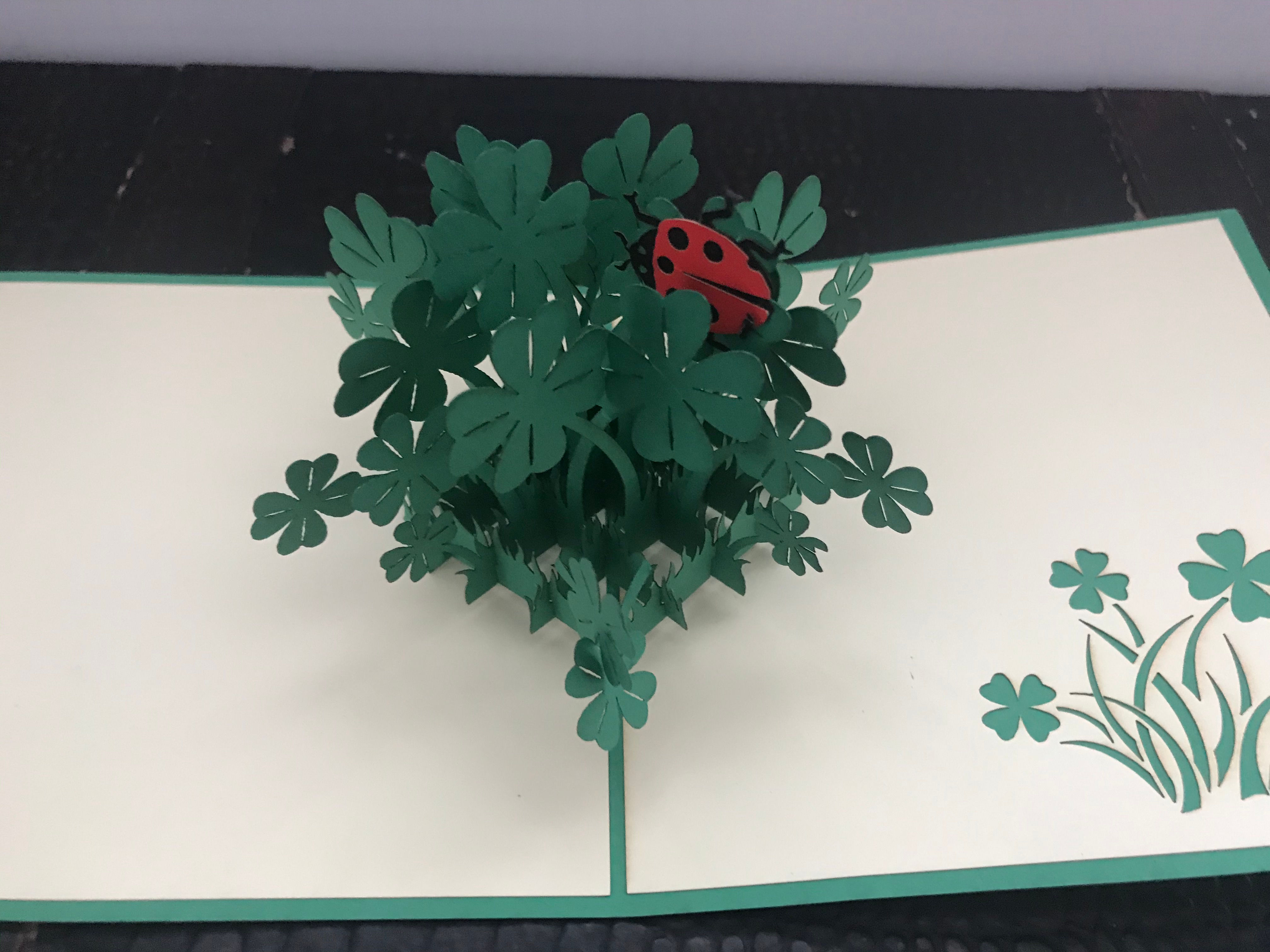 Shamrock and Lady Bug Bouquet