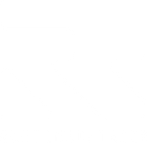 Root Logo (White).png