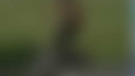 (315) The Gang goes to Long Island