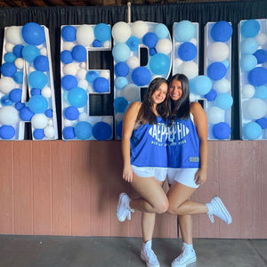 All About Alpha Epsilon Phi