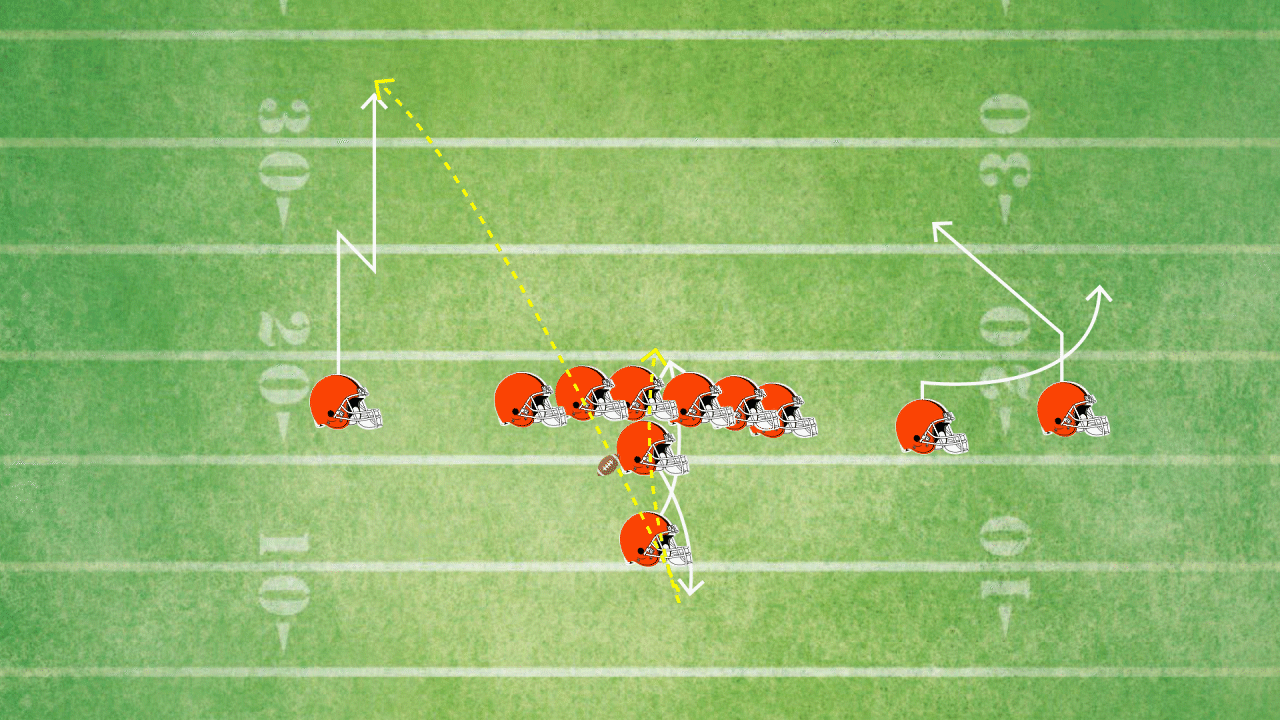 FLEA FLICKER.gif