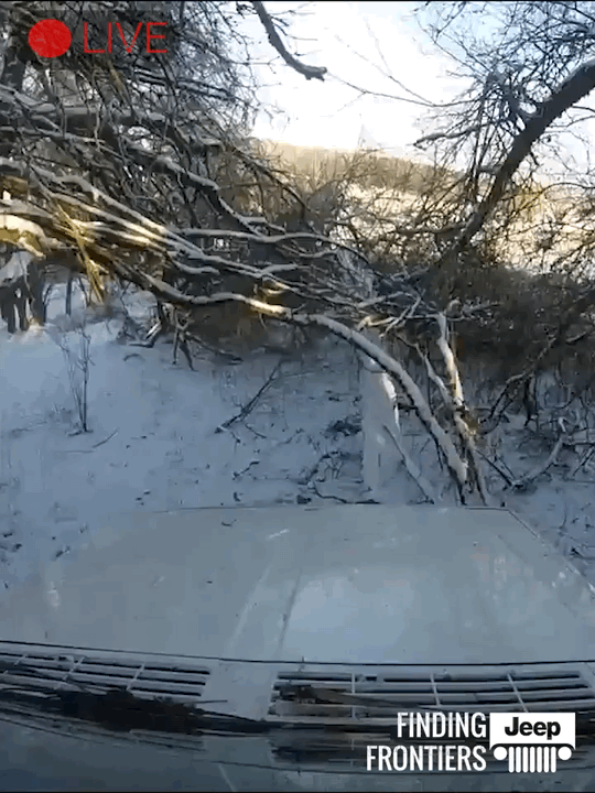 regift 2.gif