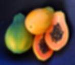 PAPAYA