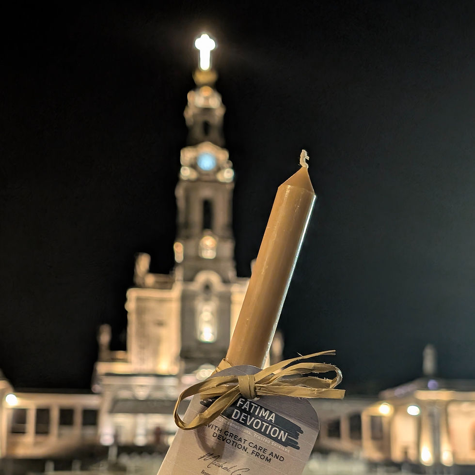 Miniatura: Basilica of Our Lady of the Rosary illuminated at night in Fátima