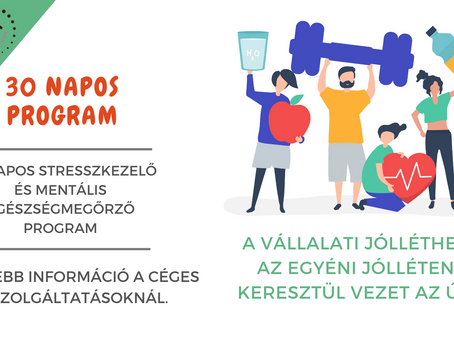 CÉGEKNEK: 30 NAPOS STRESSZKEZELŐ ÉS MENTÁLIS EGÉSZSÉGMEGŐRZŐ PROGRAM