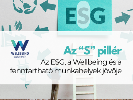 ESG es a Wellbeing