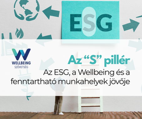 ESG es a Wellbeing