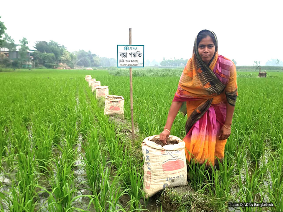 CSA - Bag Method