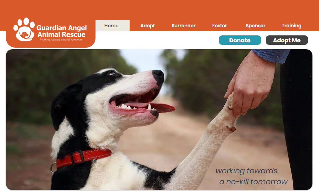 Home Guardianangelrescue