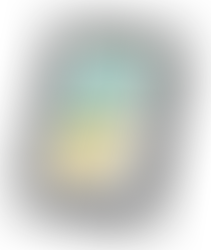 A great kitchen or coffee table book